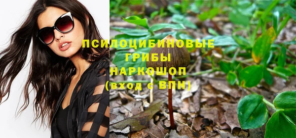 дмт Алексеевка