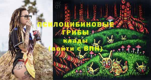 дмт Алексеевка