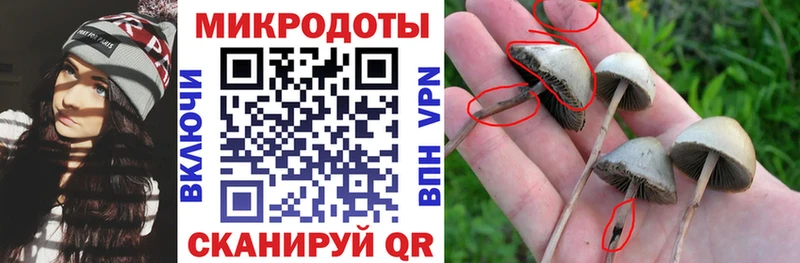 Псилоцибиновые грибы прущие грибы Пущино